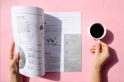 Businessplan Schweiz