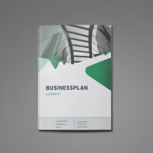 Businessplan: Software für Bauindustrie