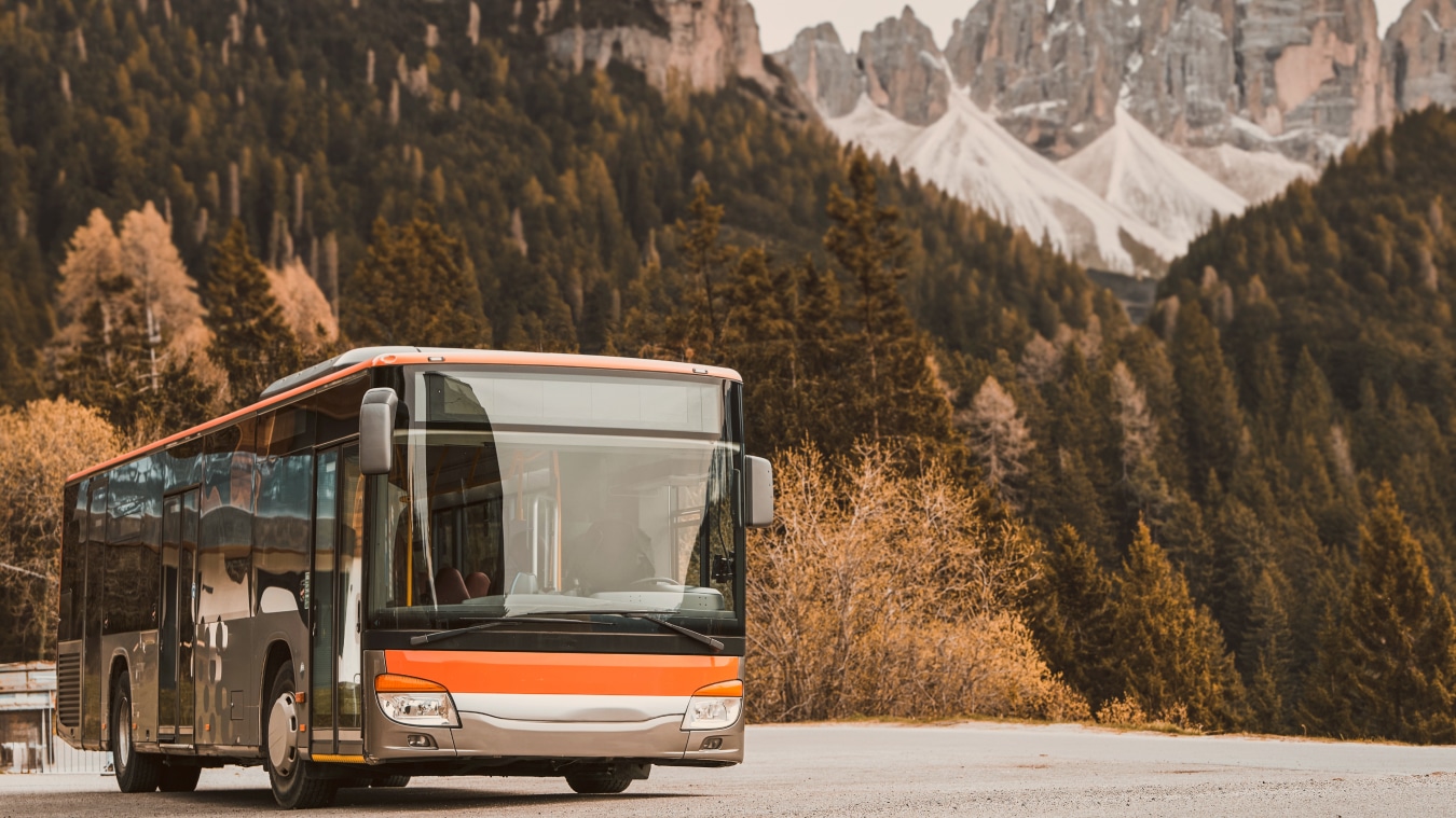 International Transport Company